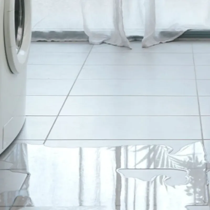 Appliance Leak Cleanup in Ponderay, ID