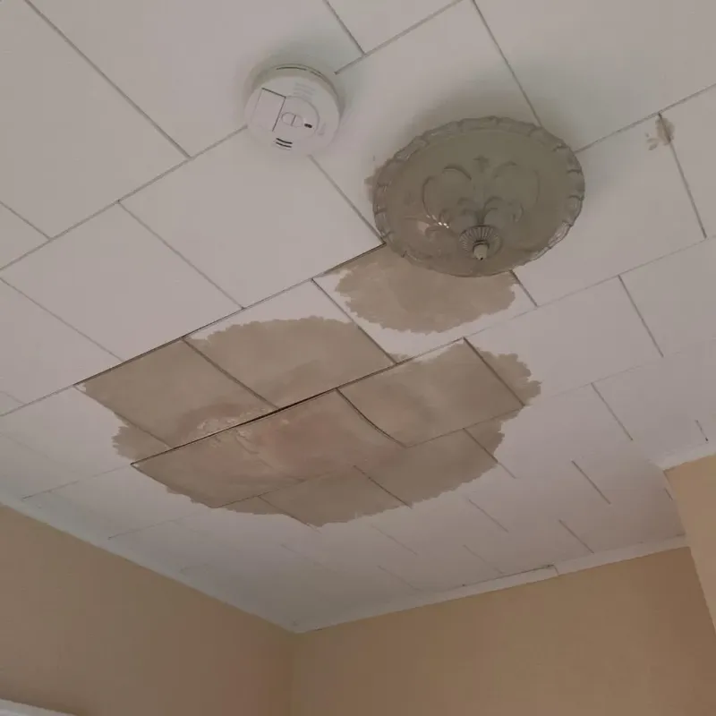 Ceiling Water Damage Repair in Ponderay, ID