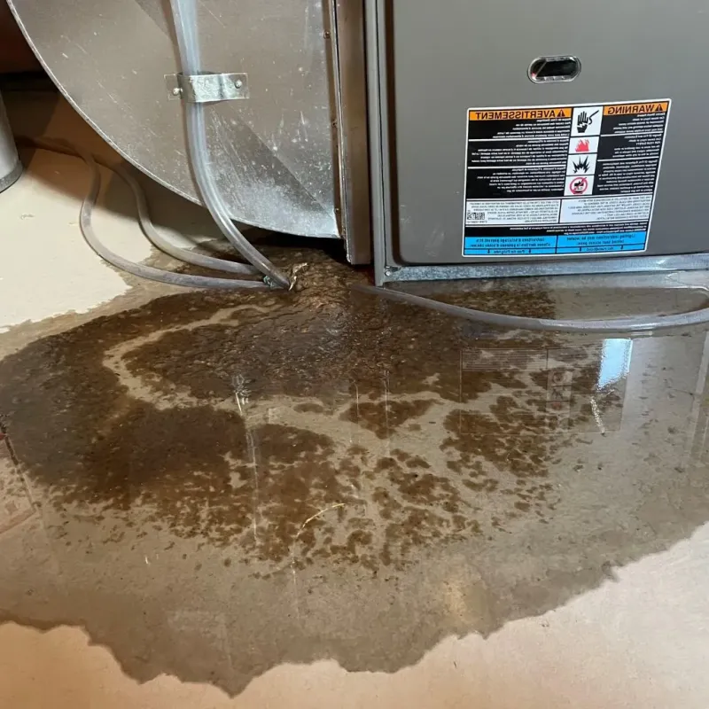 Pipe Burst and Leak Restoration in Ponderay, ID